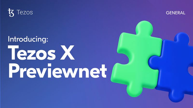 Introducing Tezos X Previewnet